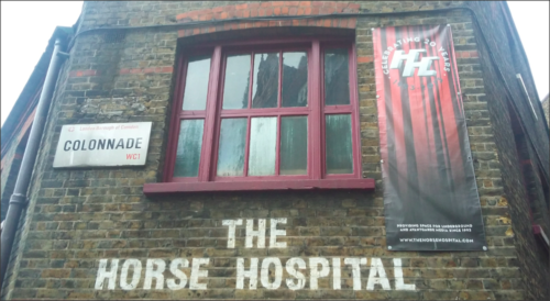 The Horse Hospital