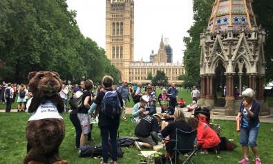 #TimeIsNow protestors lobby Parliament