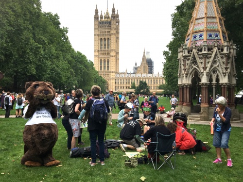 #TimeIsNow protestors lobby Parliament