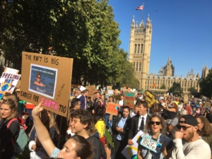 Climate Strike, Westminster, London