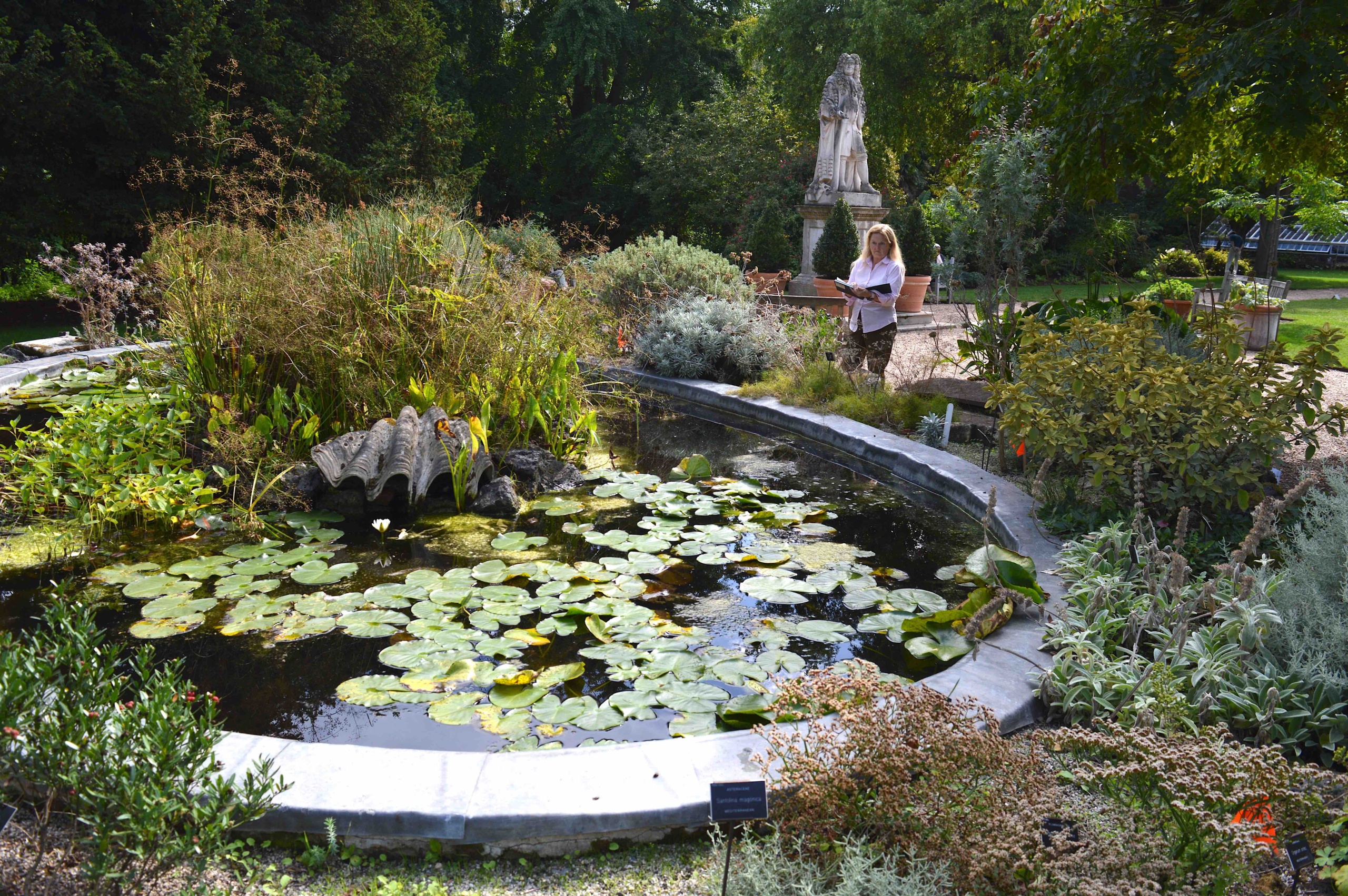 Chelsea Physic Garden, 350th anniversary, Denise Ballard-Wyllie